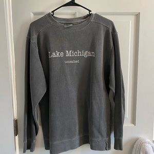 Gray Unsalted No Sharks sweatshirt